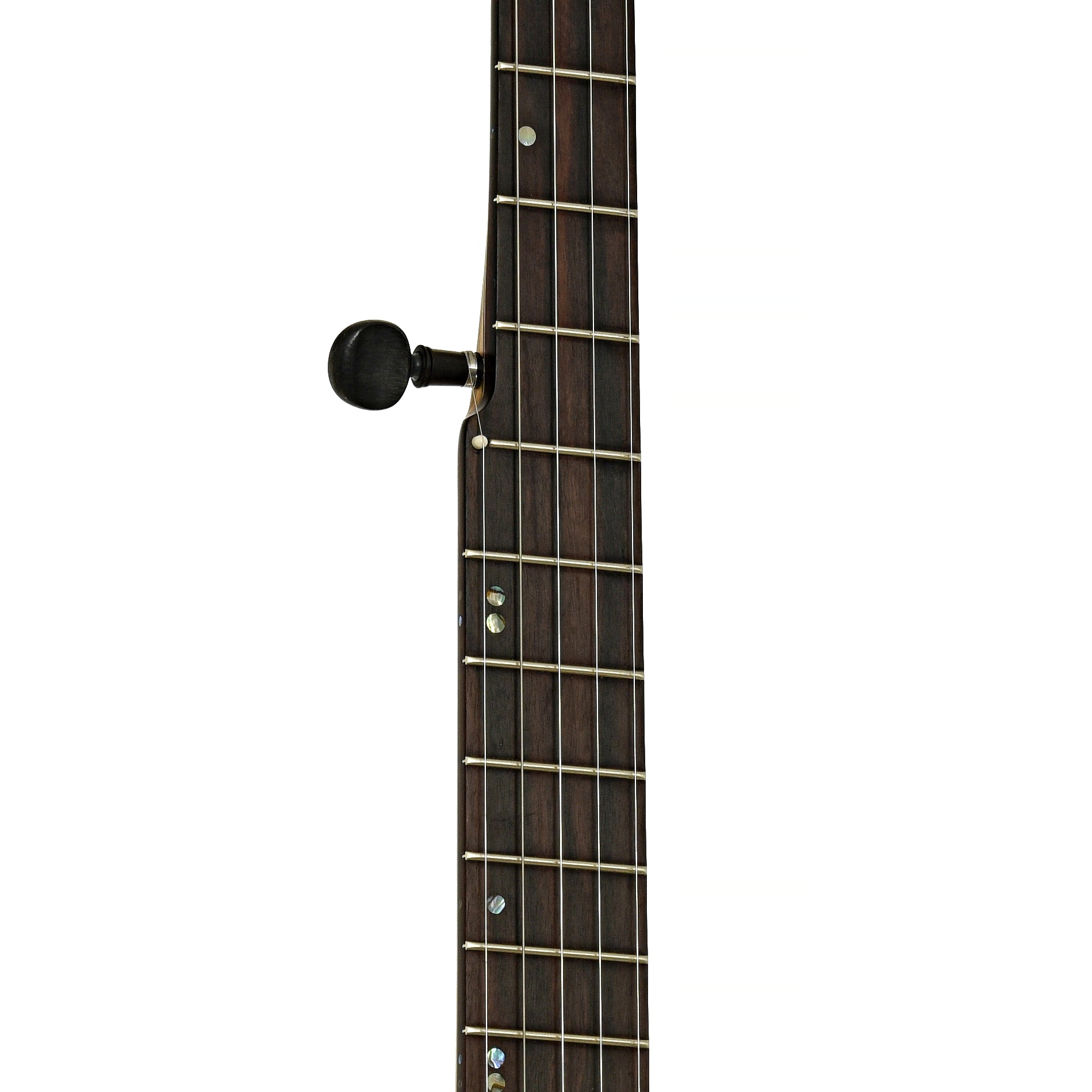 Fretboard of Chuck Lee Cottonwood 12" Openback Banjo #873