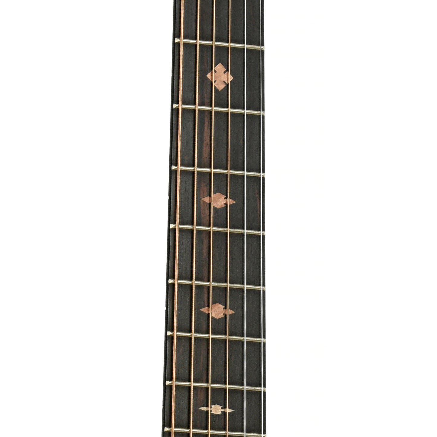 Fretboard of Beard Trailhead Roundneck Resonator Guitar Tobacco Finish