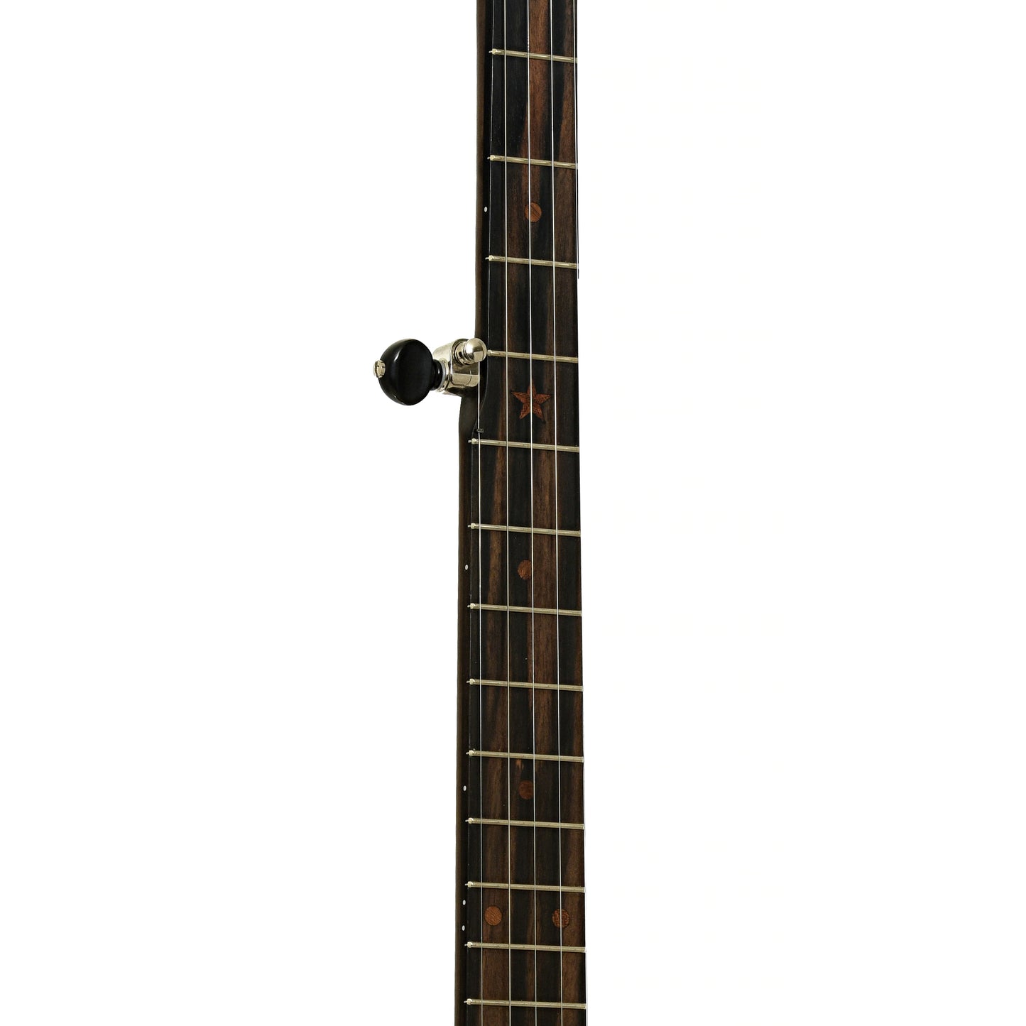 Fretboard of Vega Vintage Star 12" Open Back Banjo