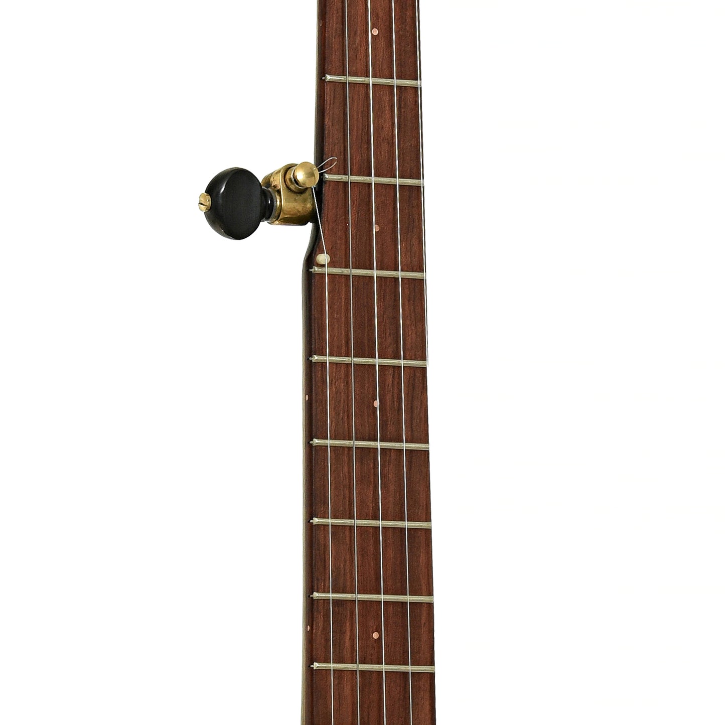 Fretboard of Mulheron Little Red Rooster Custom Open Back Banjo 