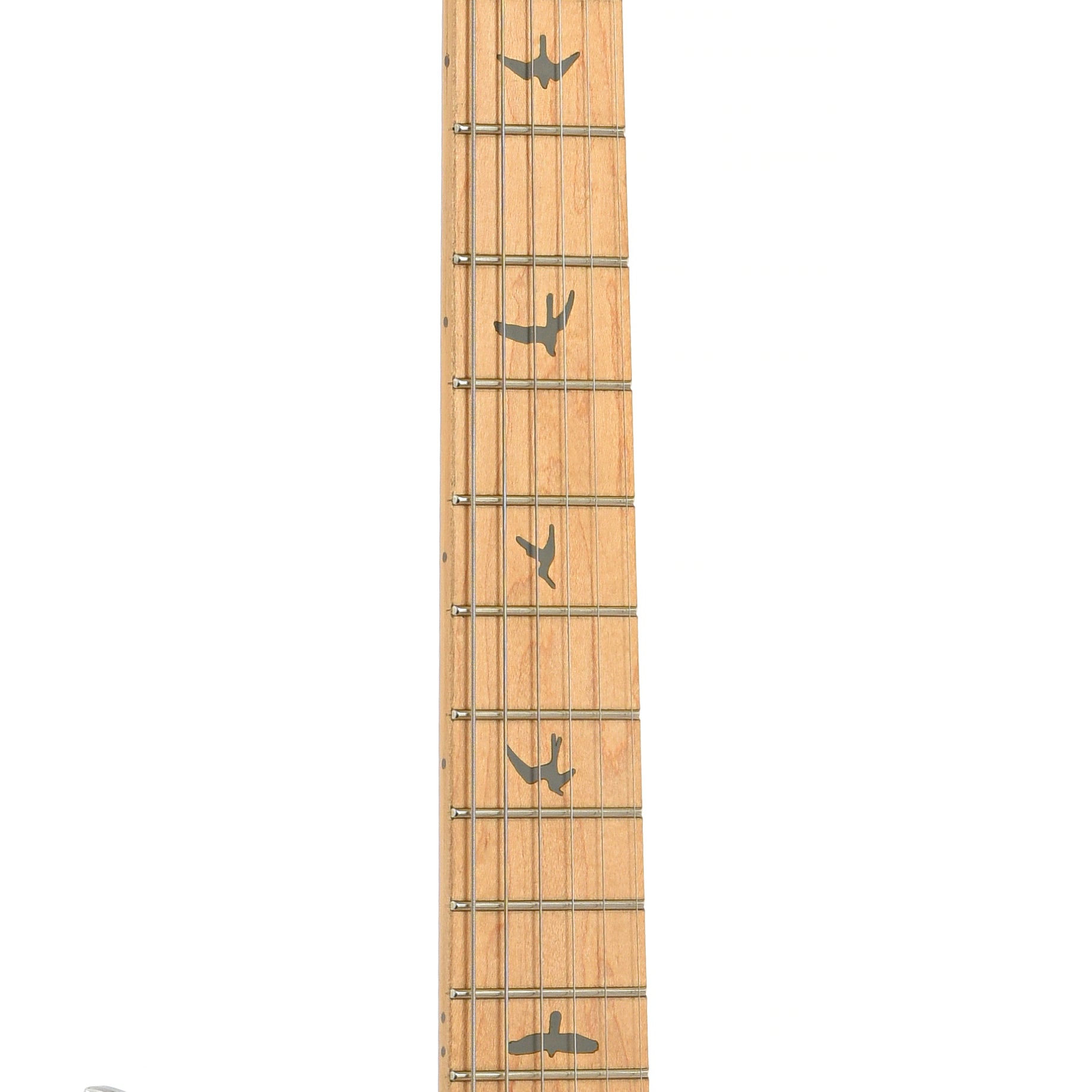 fretboard of PRS SE Silver Sky Maple Electric Guitar, Nylon Blue
