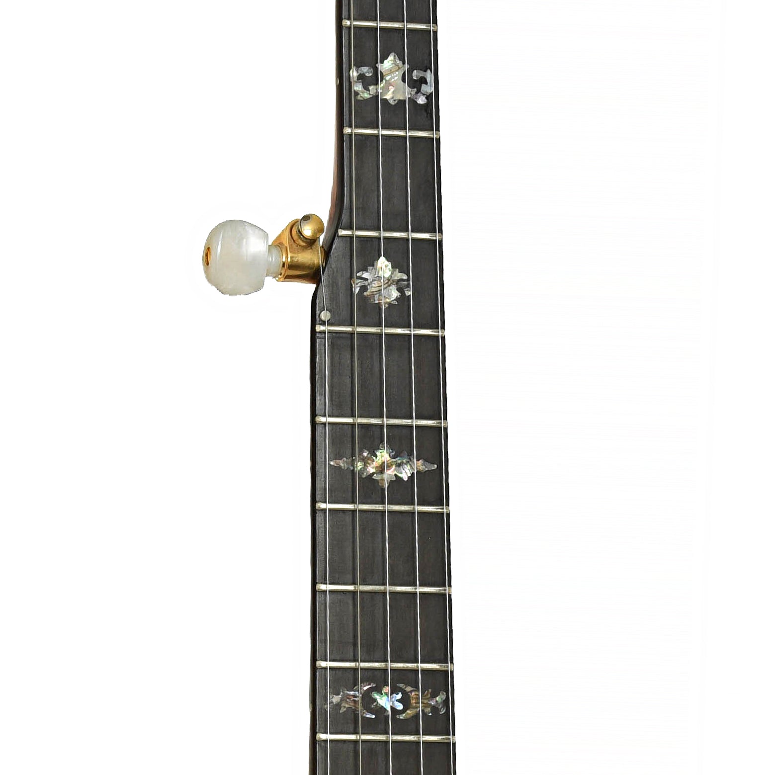 Fretboard of Doc Fossey Model 2 Banjitar