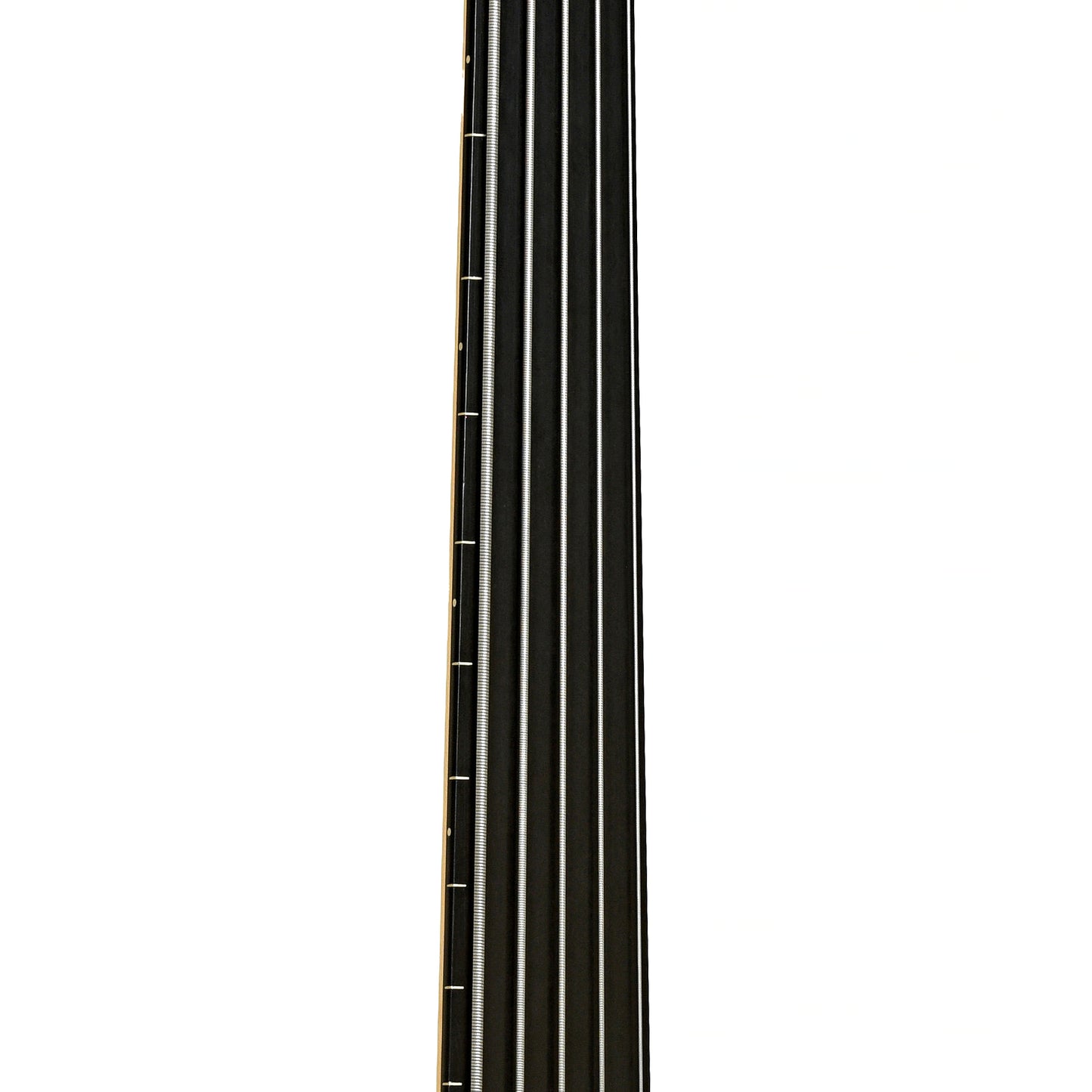 Fretboard of Godin A5 Ultra Fretless 5-String Acoustic-Electric Bass 