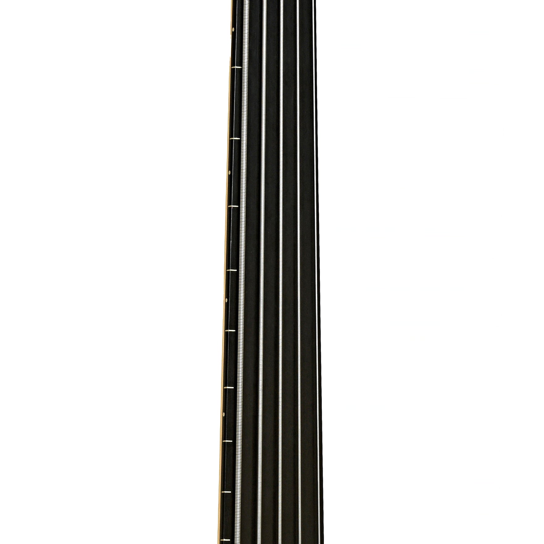 Fretboard of Godin A5 Ultra Fretless 5-String Acoustic-Electric Bass 