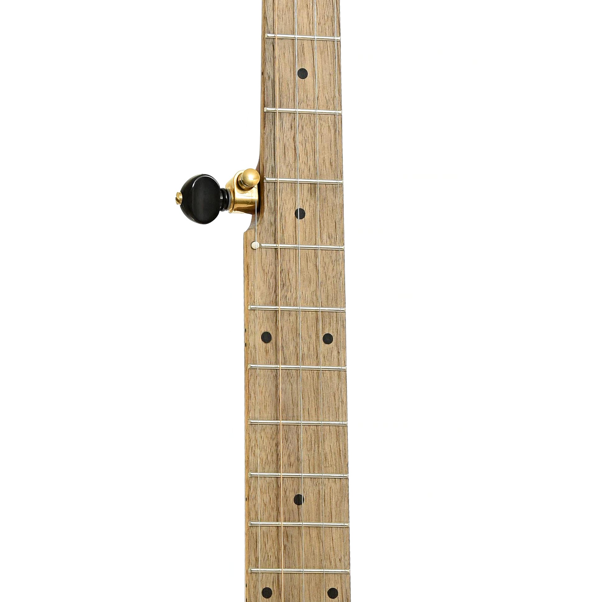 Fretboard of Pisgah Possum 11" Openback Banjo & Gigbag, Walnut, Short Scale