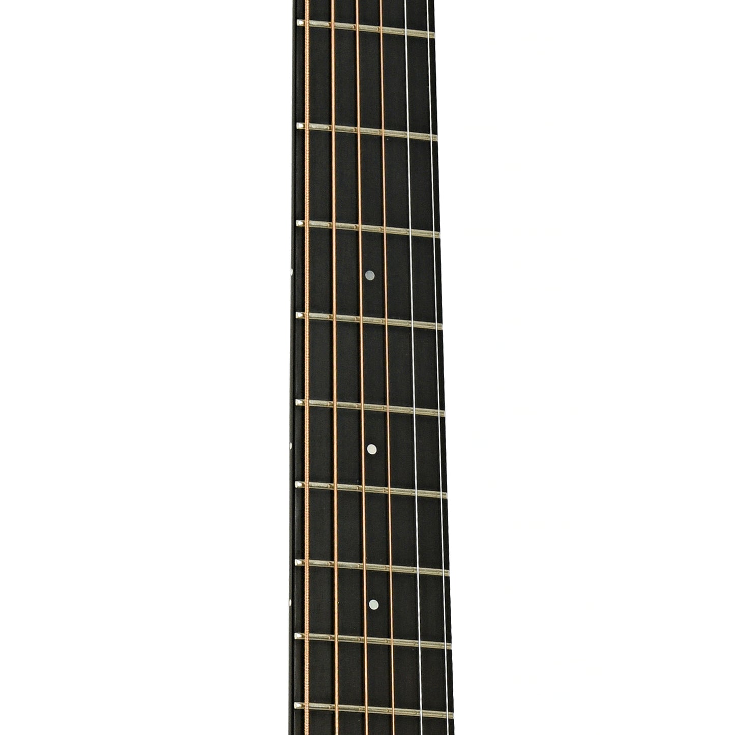 Fretboard of Breedlove D/SRE H American Series Acoustic Guitar