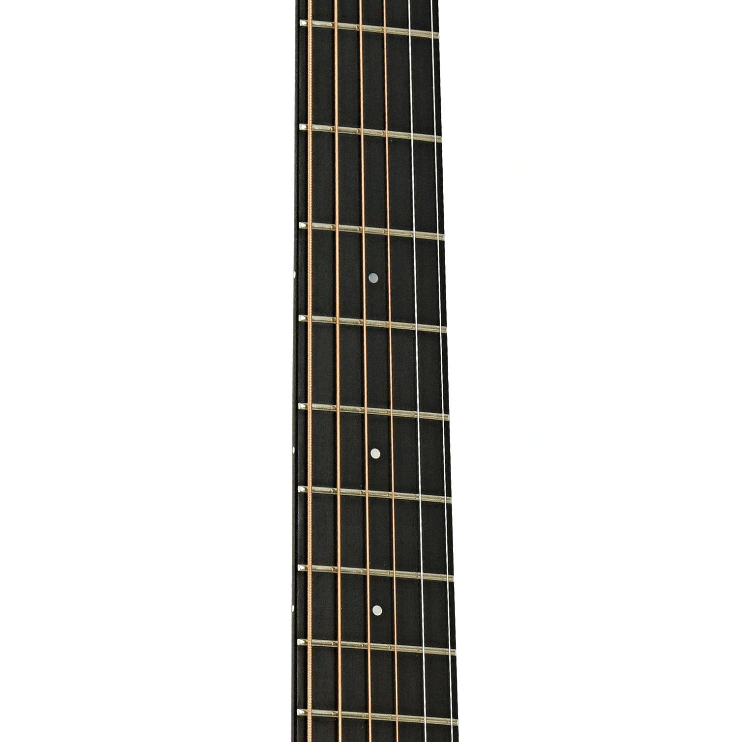 Fretboard of Breedlove D/SRE H American Series Acoustic Guitar