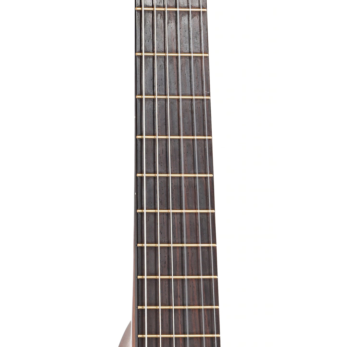 Fretboard of Benefield Tiny Rose Classical 