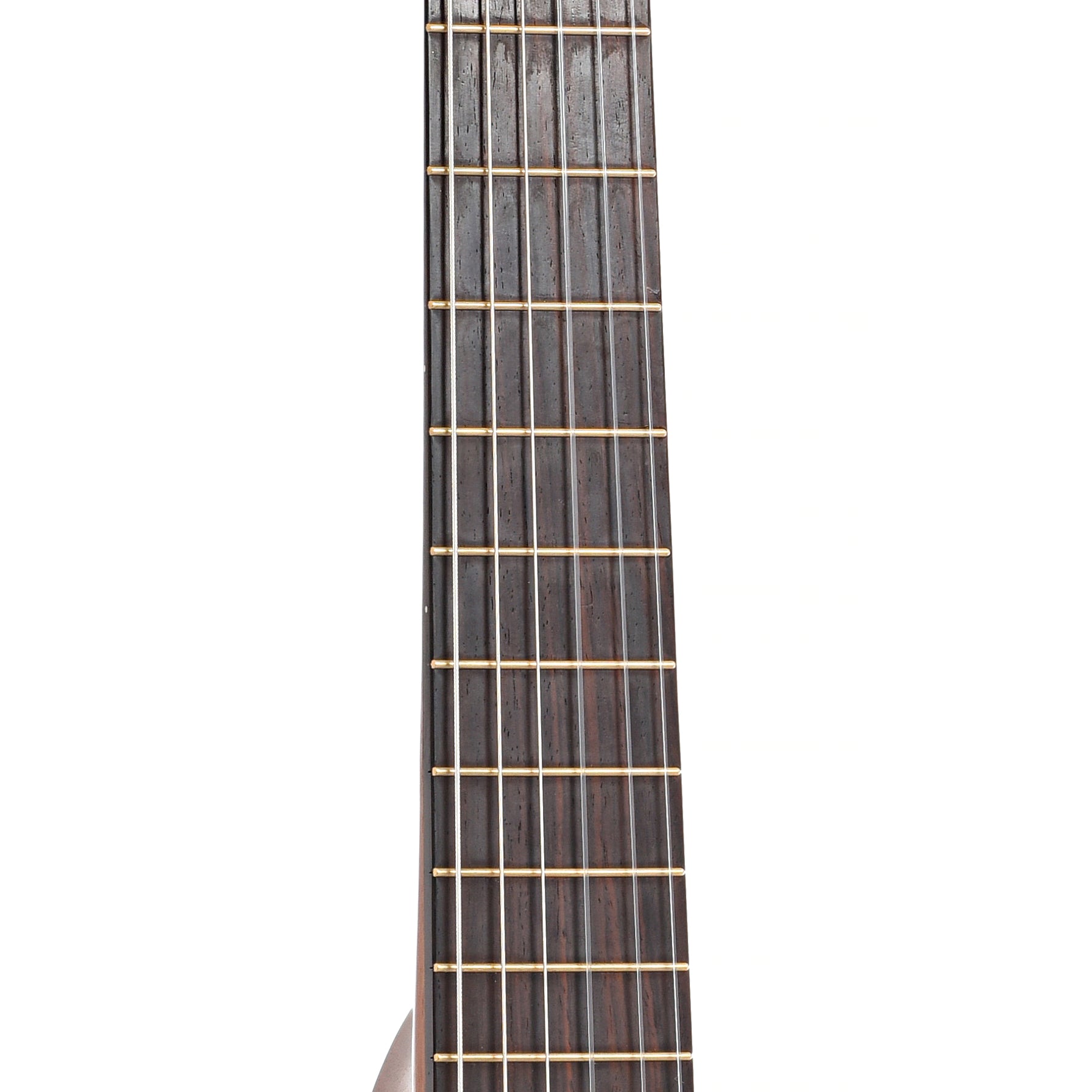 Fretboard of Benefield Tiny Rose Classical 