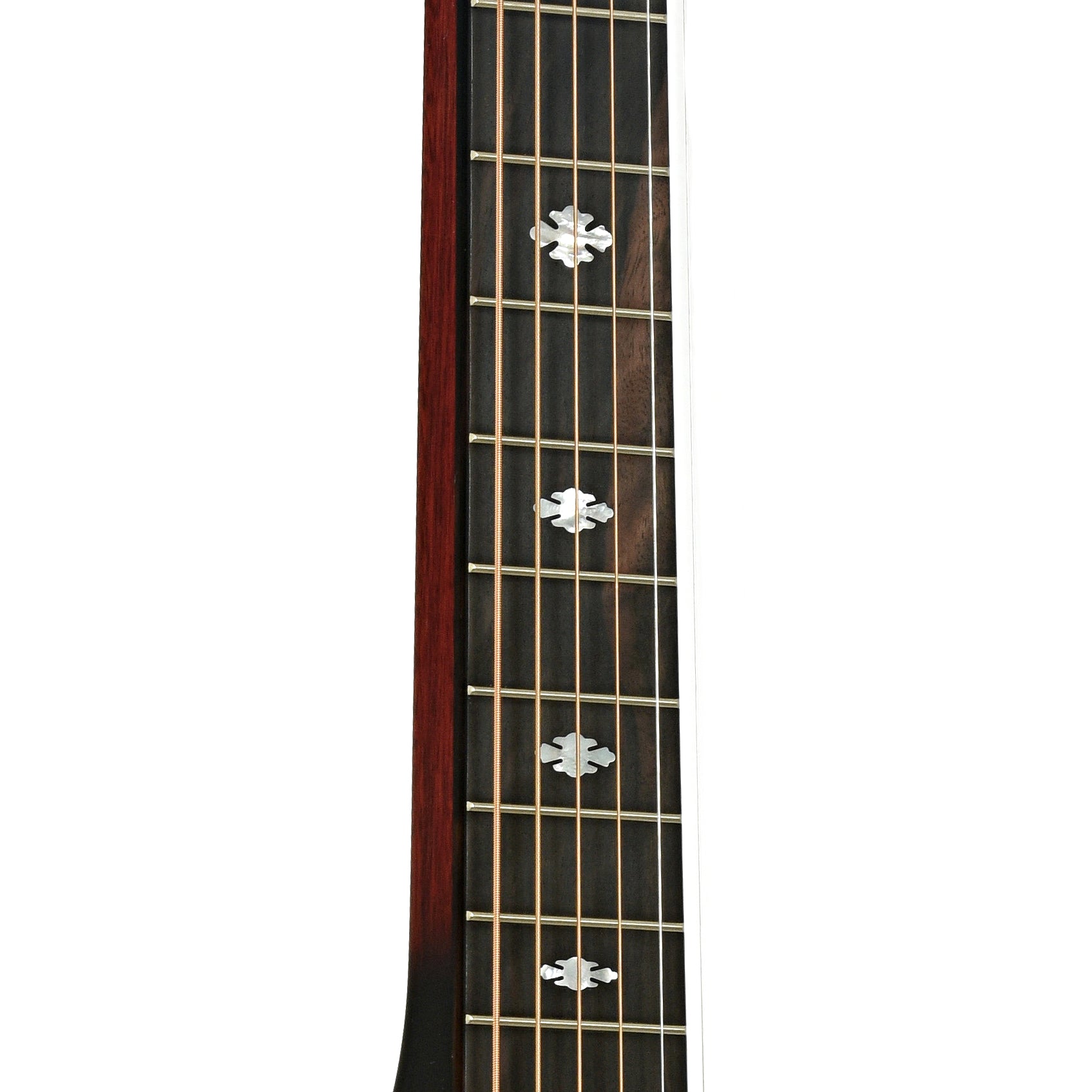 Fretboard of Beard Belle E-Body Squareneck Resonator Guitar
