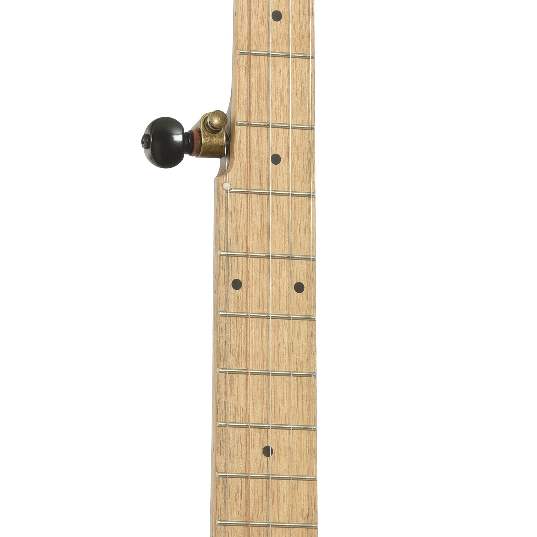 Fretboard of Pisgah Appalachian 11in Short Scale Openback Banjo