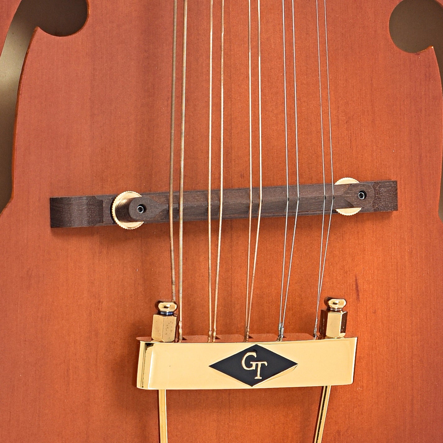 Bridge of Gold Tone F-10 10-String Mandolin 