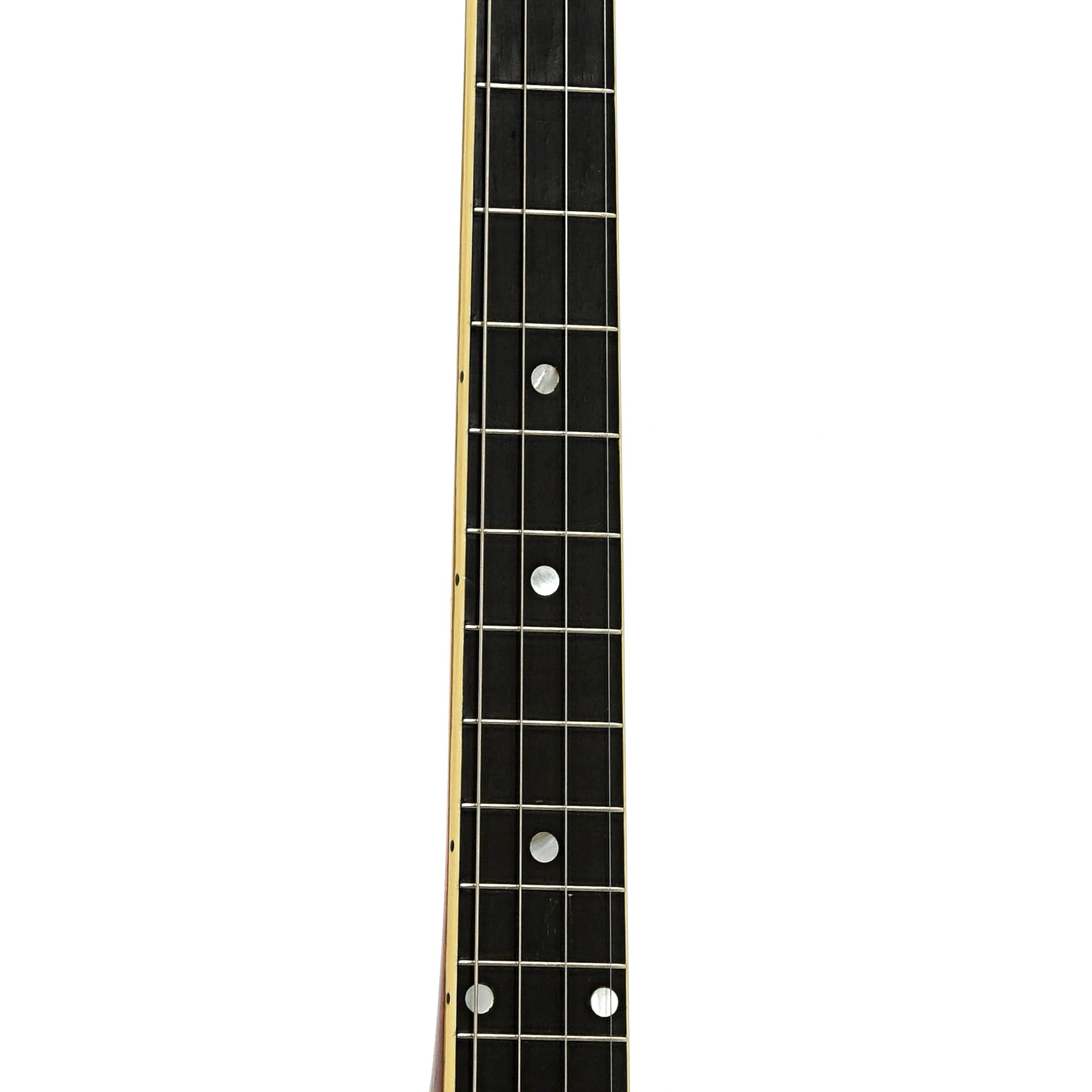 Fretboard of Gibson TB Tenor Banjo