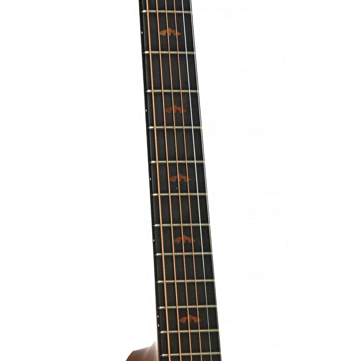 Taylor 415 L30 Acoustic-Electric Guitar (2004)