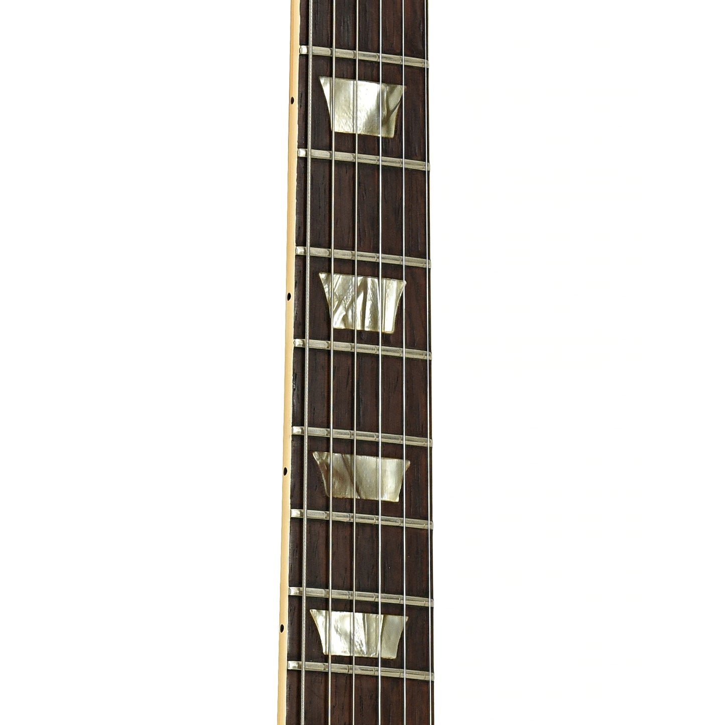 Fretboard of Gibson Les Paul Standard Electric Guitar
