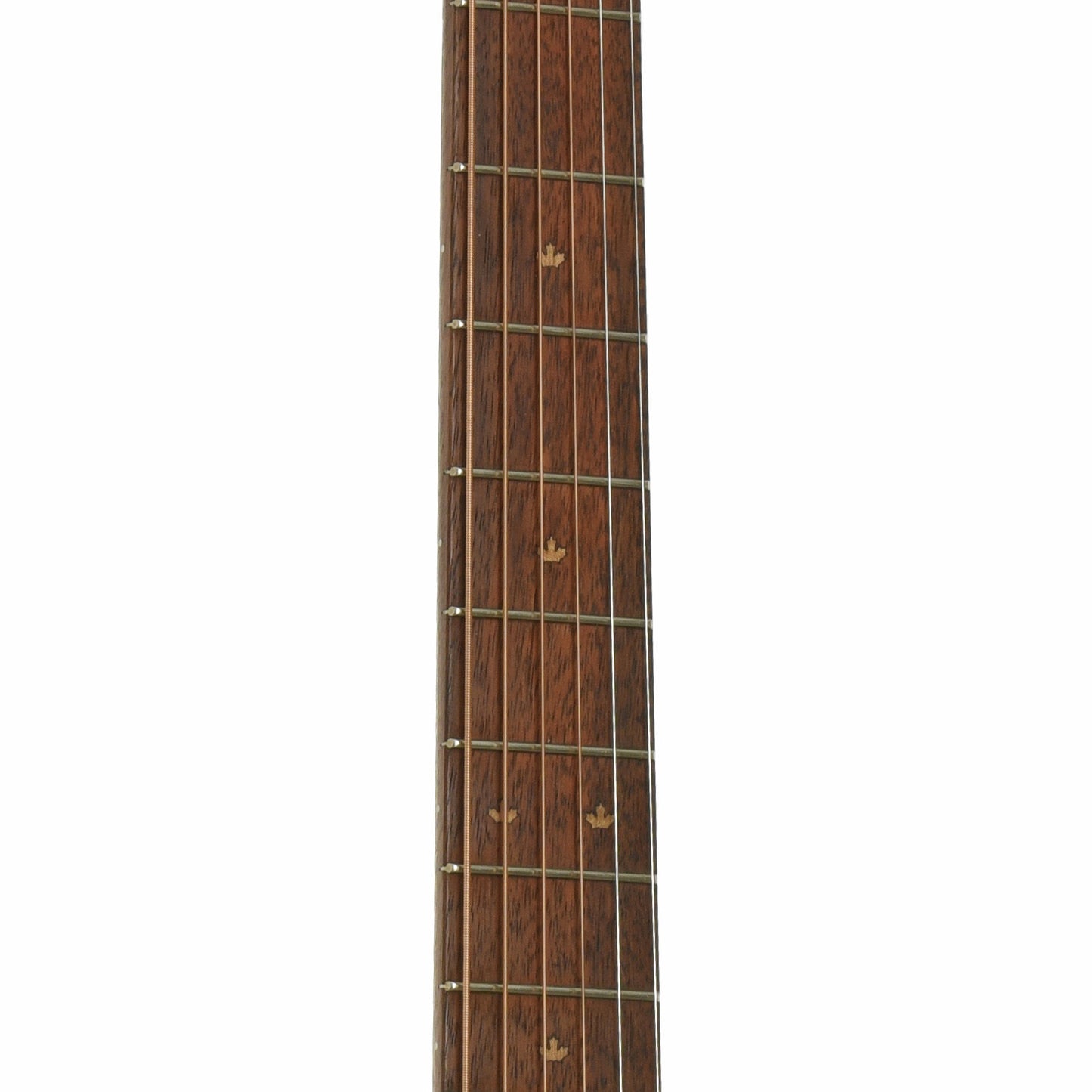 Fretboard of Riversong TRAD-CDN Tradition Acoustic Guitar 