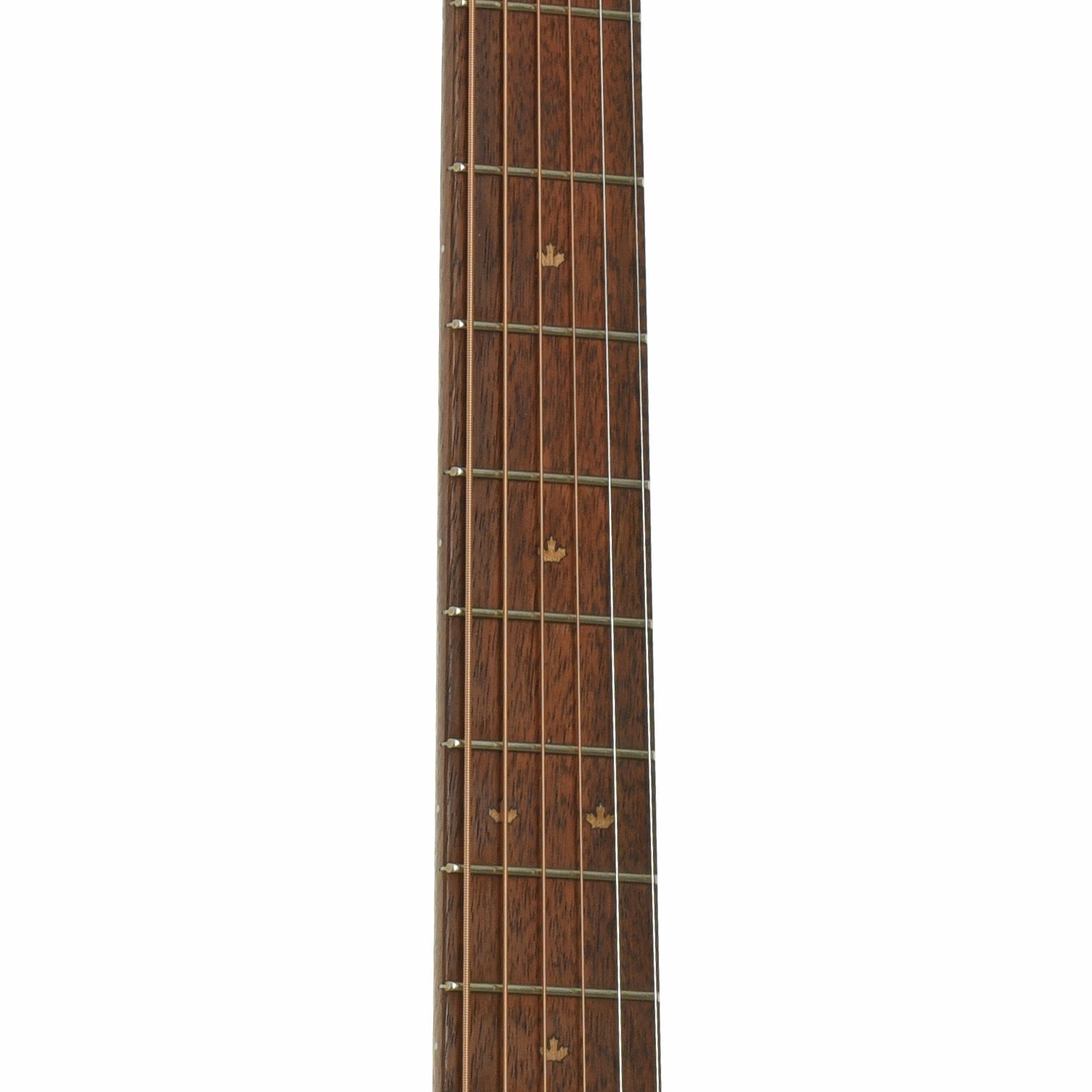 Fretboard of Riversong TRAD-CDN Tradition Acoustic Guitar 