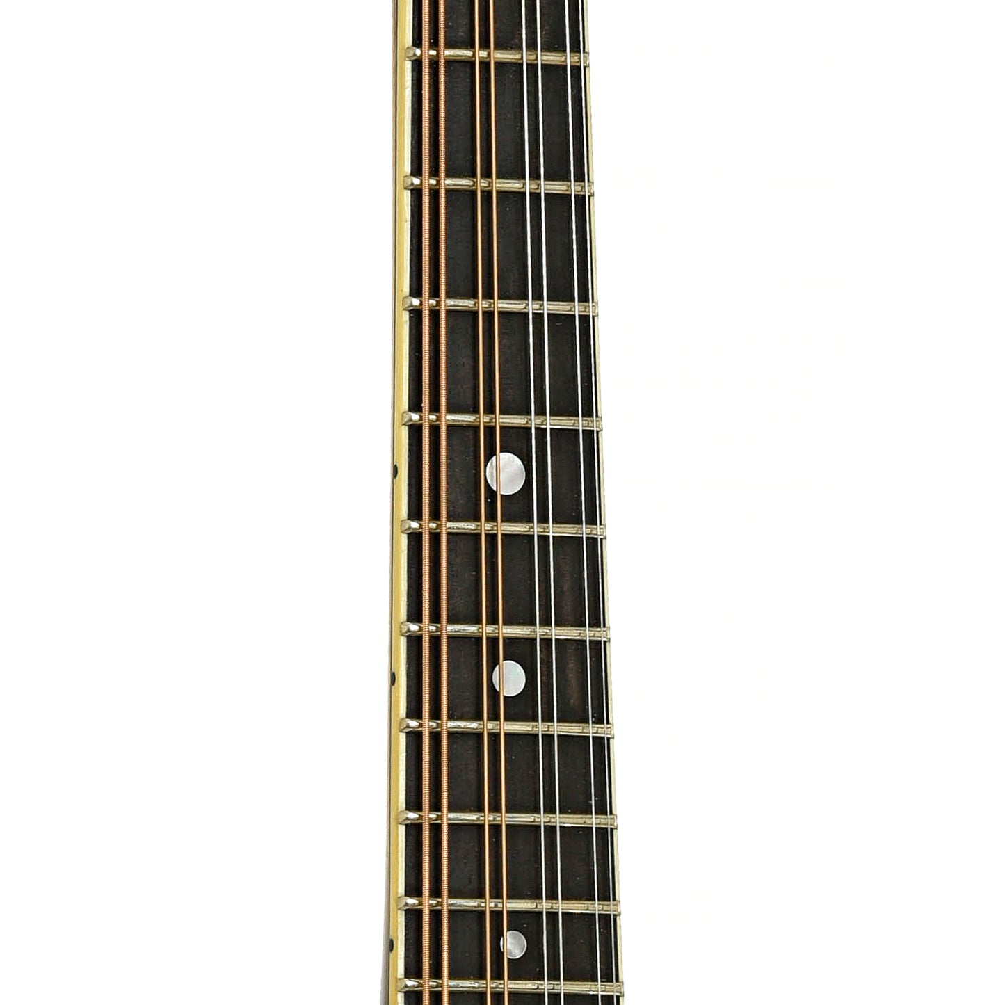Fretboard of Northfield NF-F5MB Blacktop Master Model