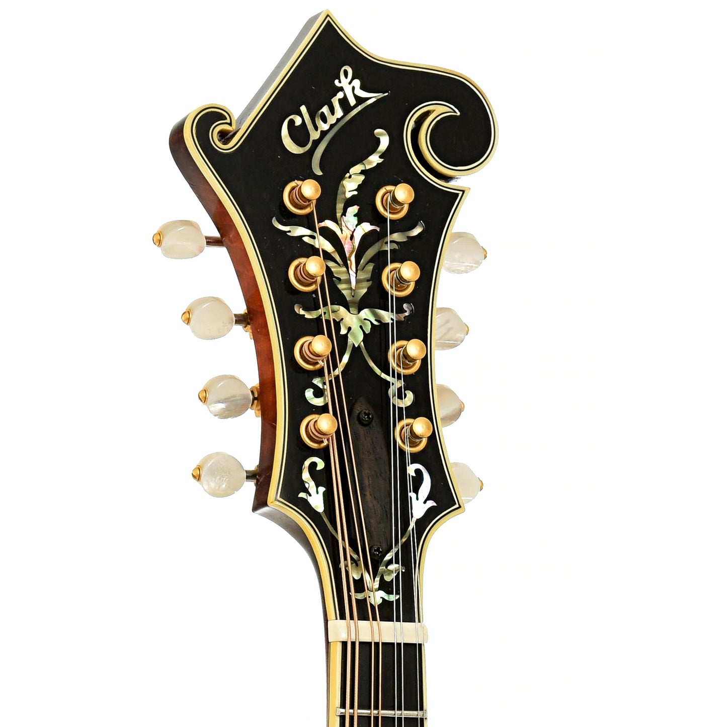 Headstock of Clark F-5 Mandolin 