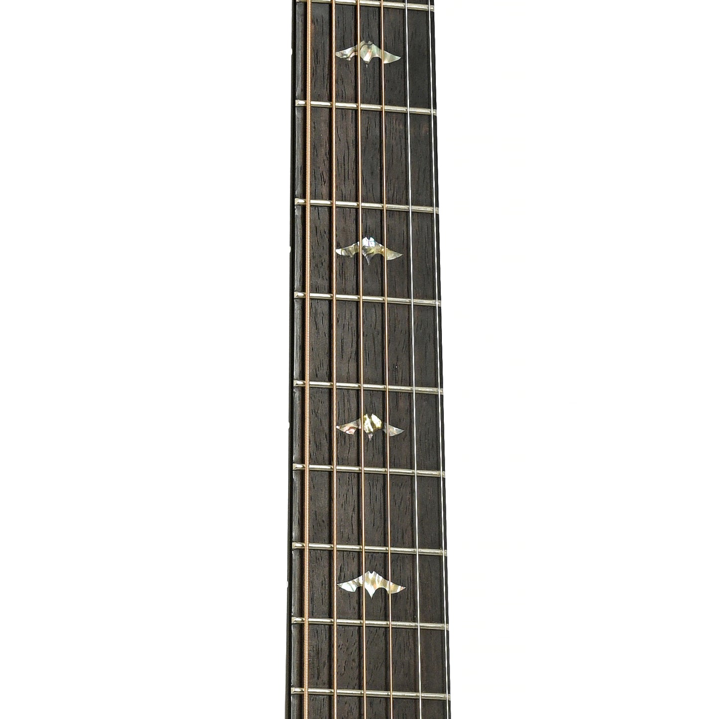Fretboard of Breedlove Focus Acoustic Guitar 