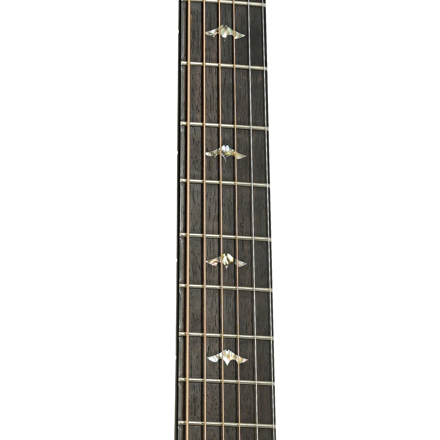 Fretboard of Breedlove Focus Acoustic Guitar 