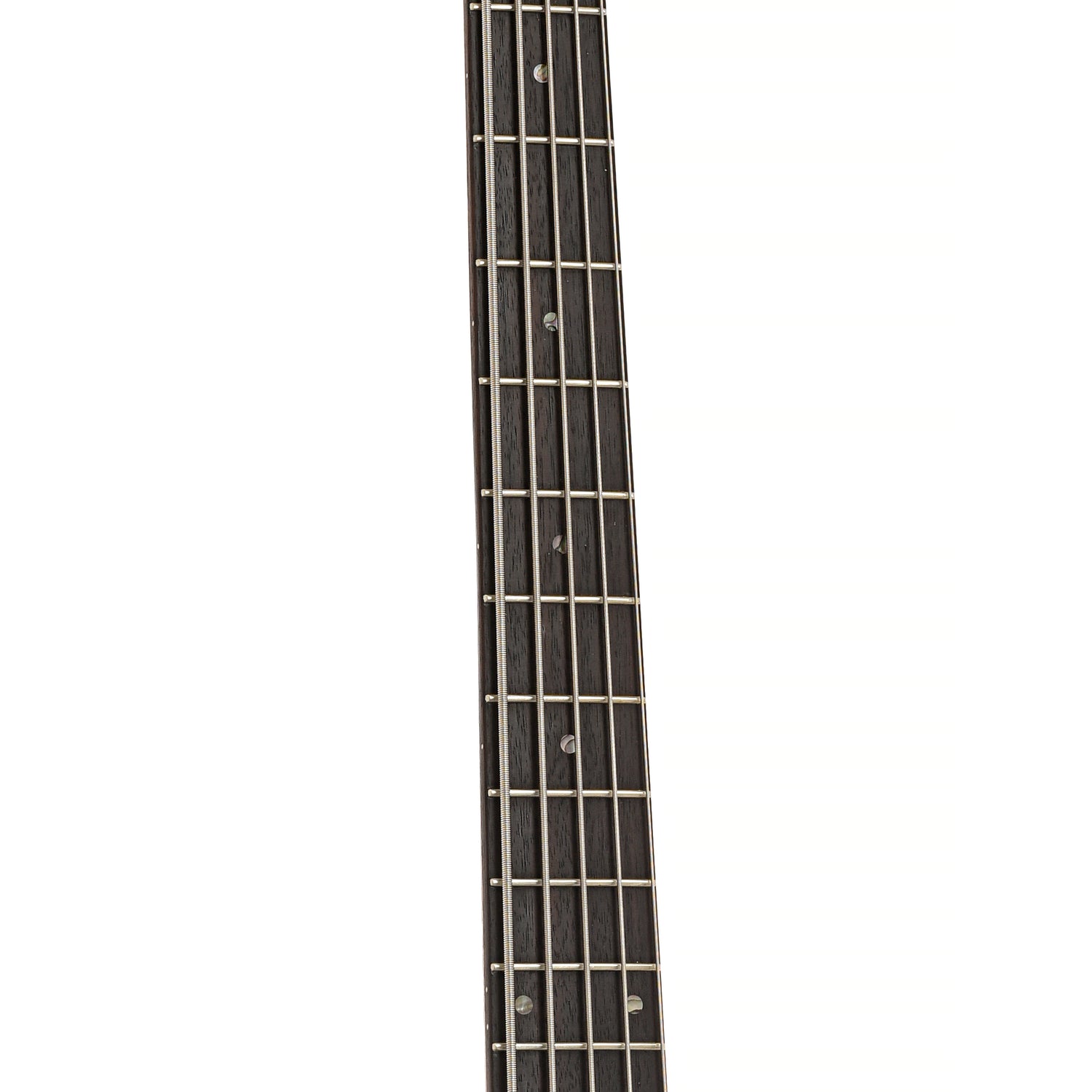 Fretboard of Spector NS5CR 5-String Electric Bass