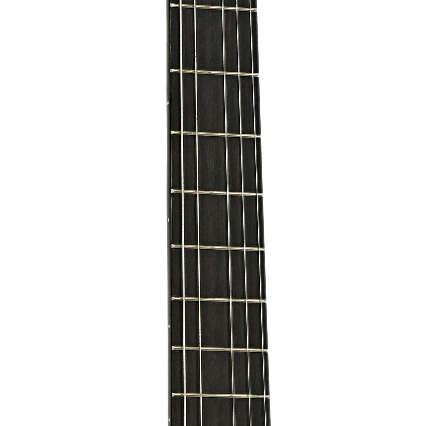 Fretboard of Cordoba C5-CE Classical Guitar
