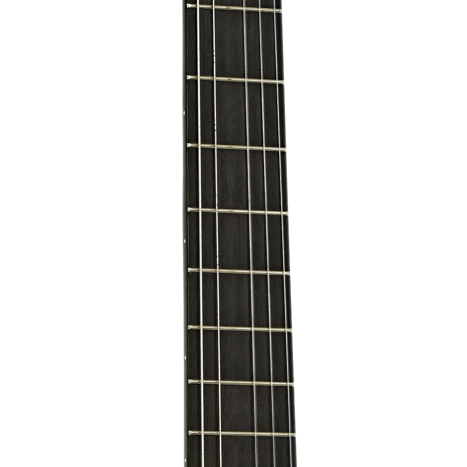Fretboard of Cordoba C5-CE Classical Guitar