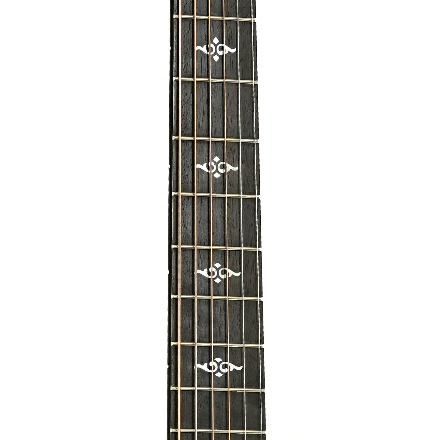 Fretboard of Taylor Gold Label 814e Acoustic Guitar