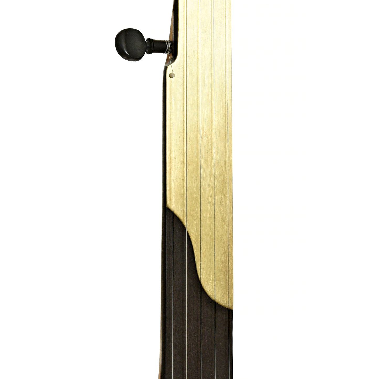 Fingerboard of Chuck Lee Deep Hollow 12" Fretless Openback Banjo #875 