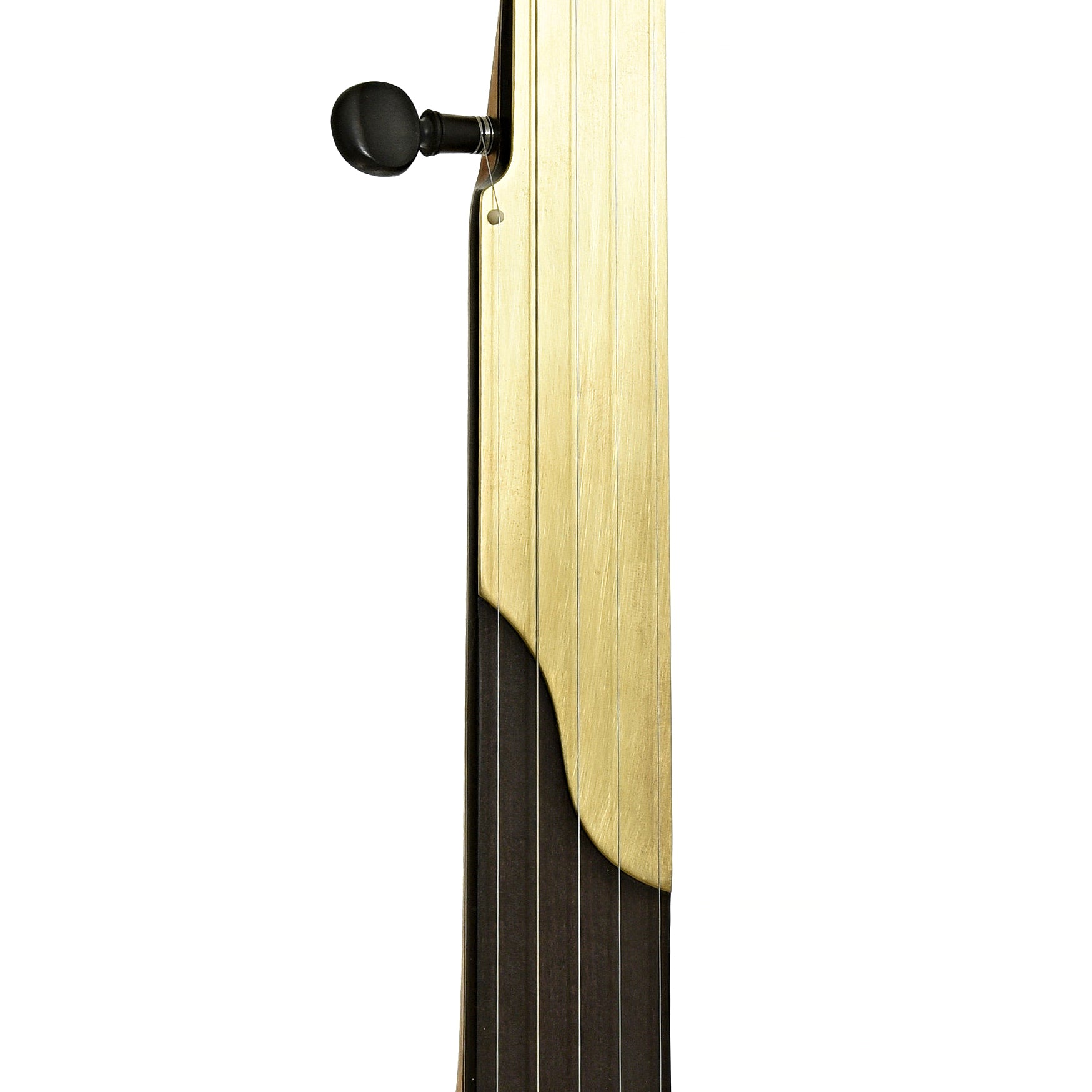 Fingerboard of Chuck Lee Deep Hollow 12" Fretless Openback Banjo #875 