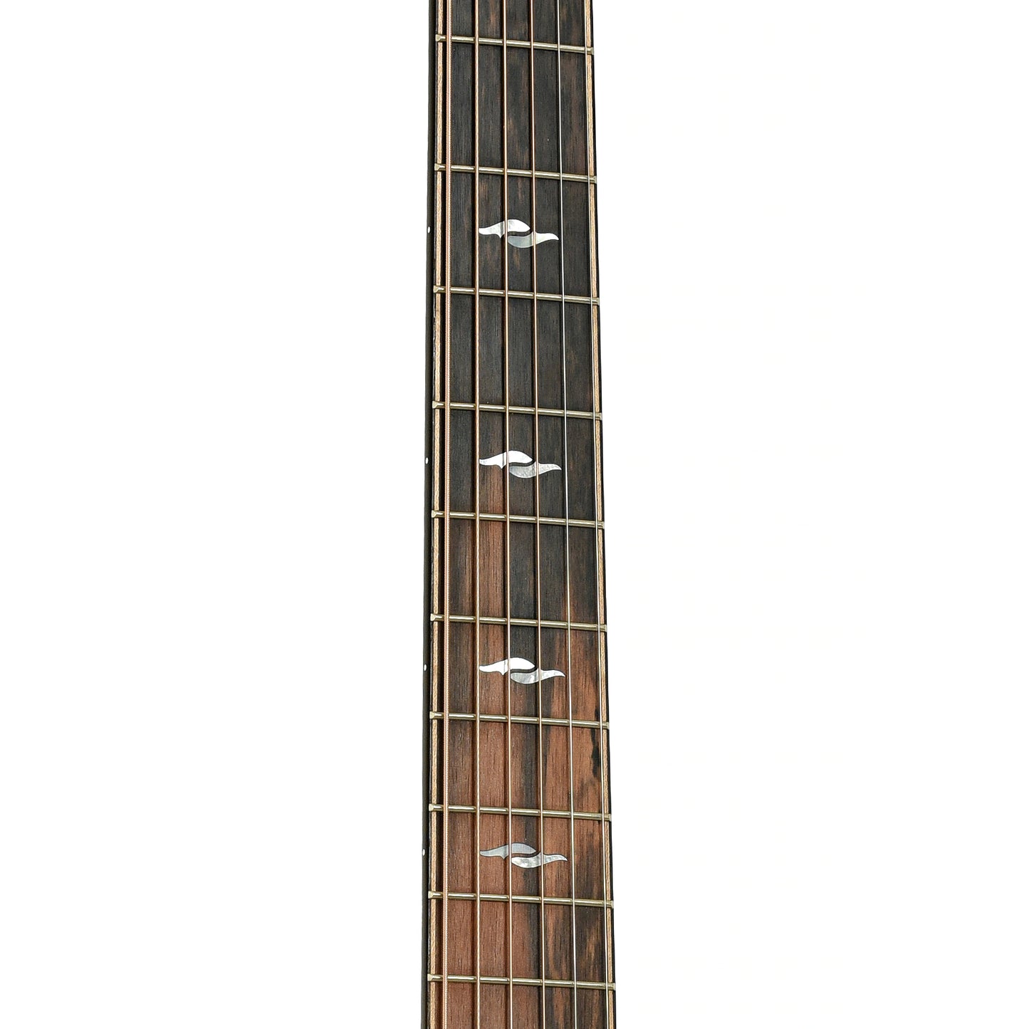 Fretboard of Taylor Next Generation 814ce Acoustic Guitar