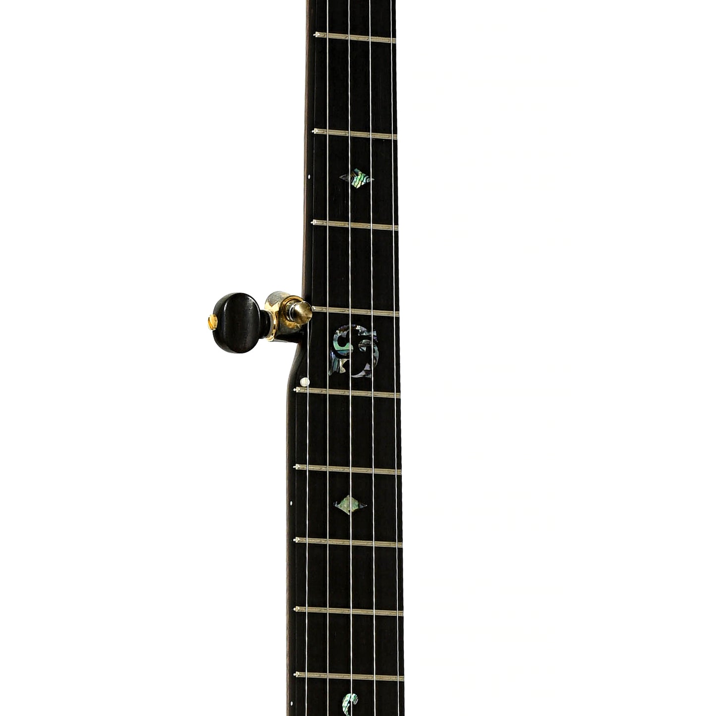 Fretboard of Ome Juniper 12" Openback Banjo