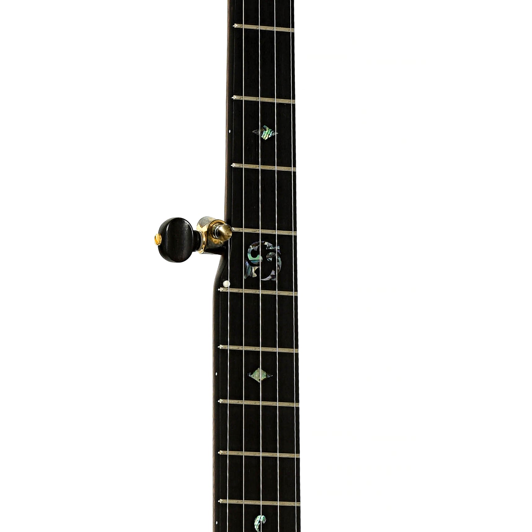 Fretboard of Ome Juniper 12" Openback Banjo