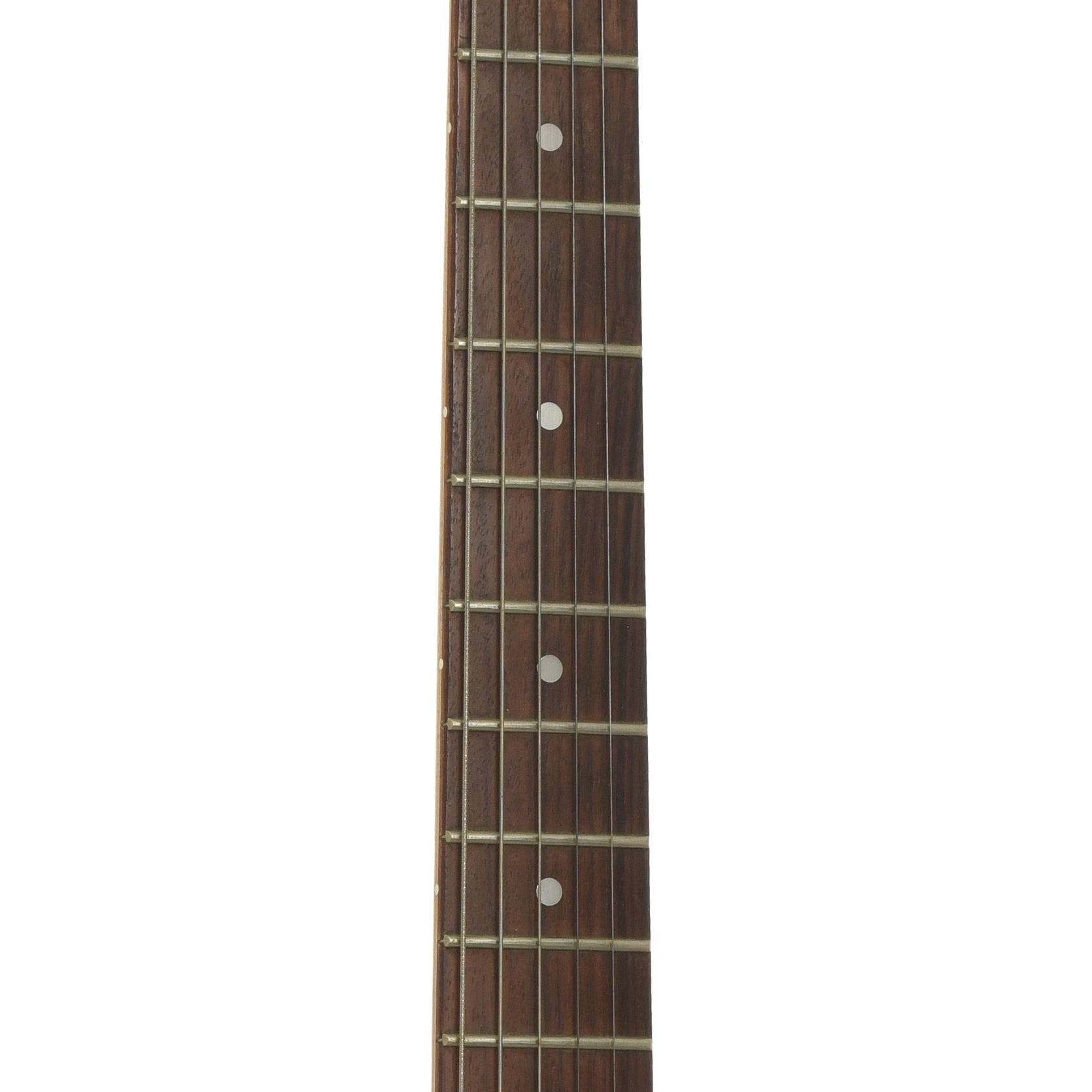 Fretboard of Parts Part-o-Caster Electric Guitar
