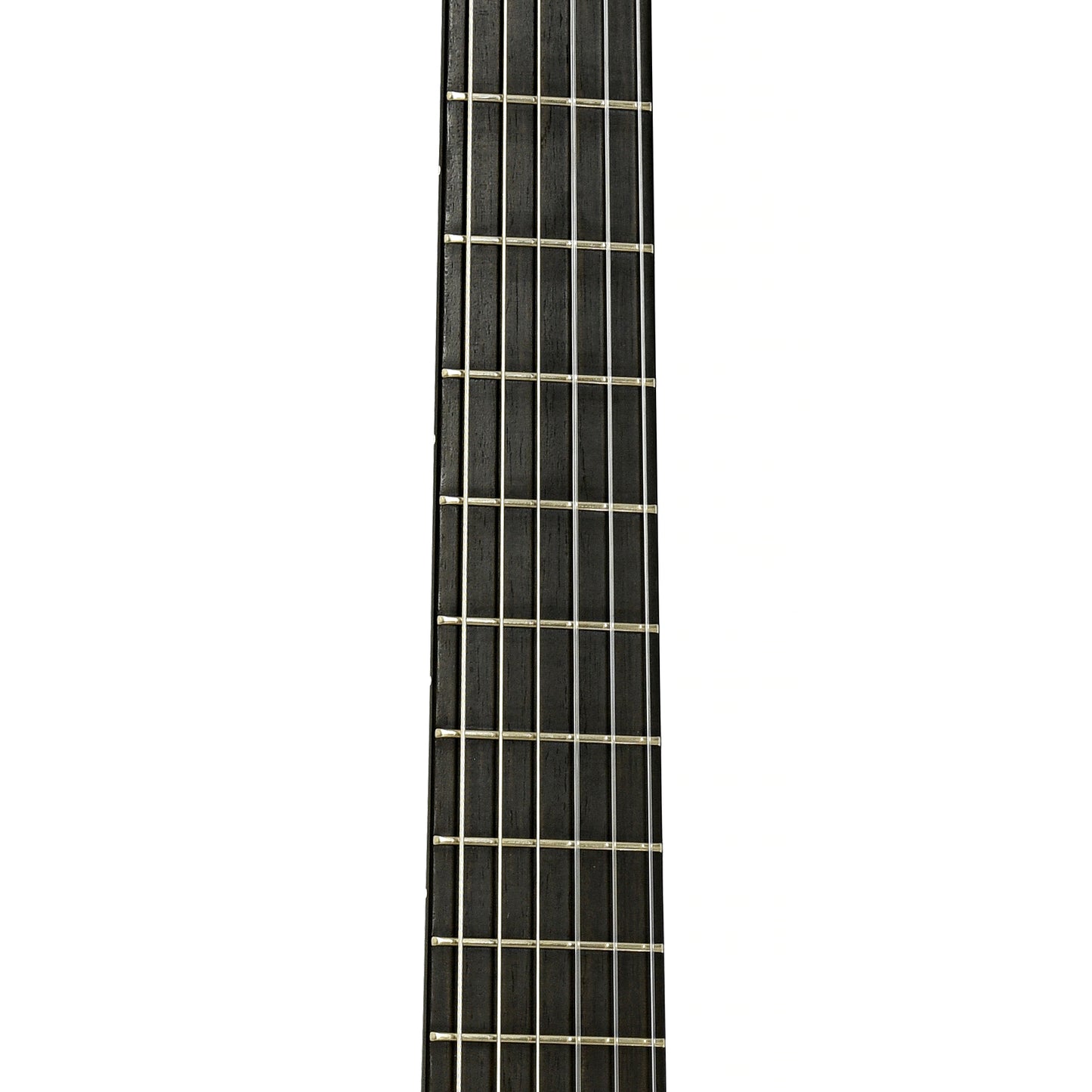 Fretboard of Lowden S-32J