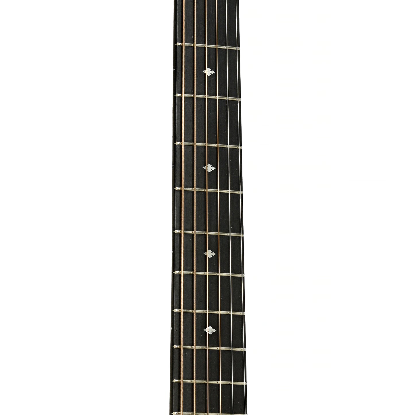 Fretboard of Taylor 214ce Deluxe Acoustic Electric Guitar