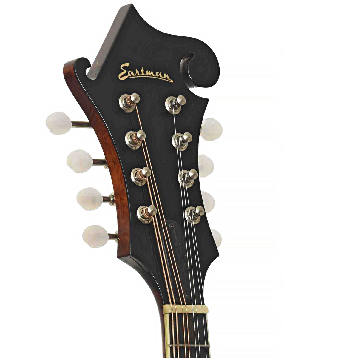 Front headstock of Eastman MD-515