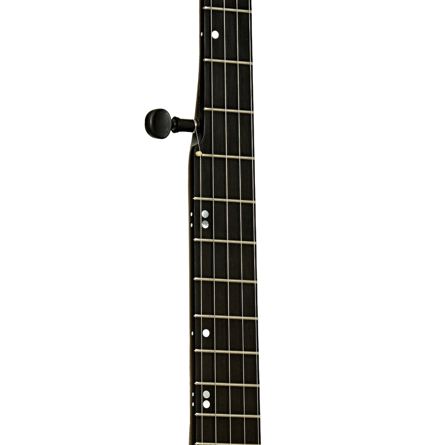 Fretboard of Chuck Lee Lone Star Custom Open Back Banjo