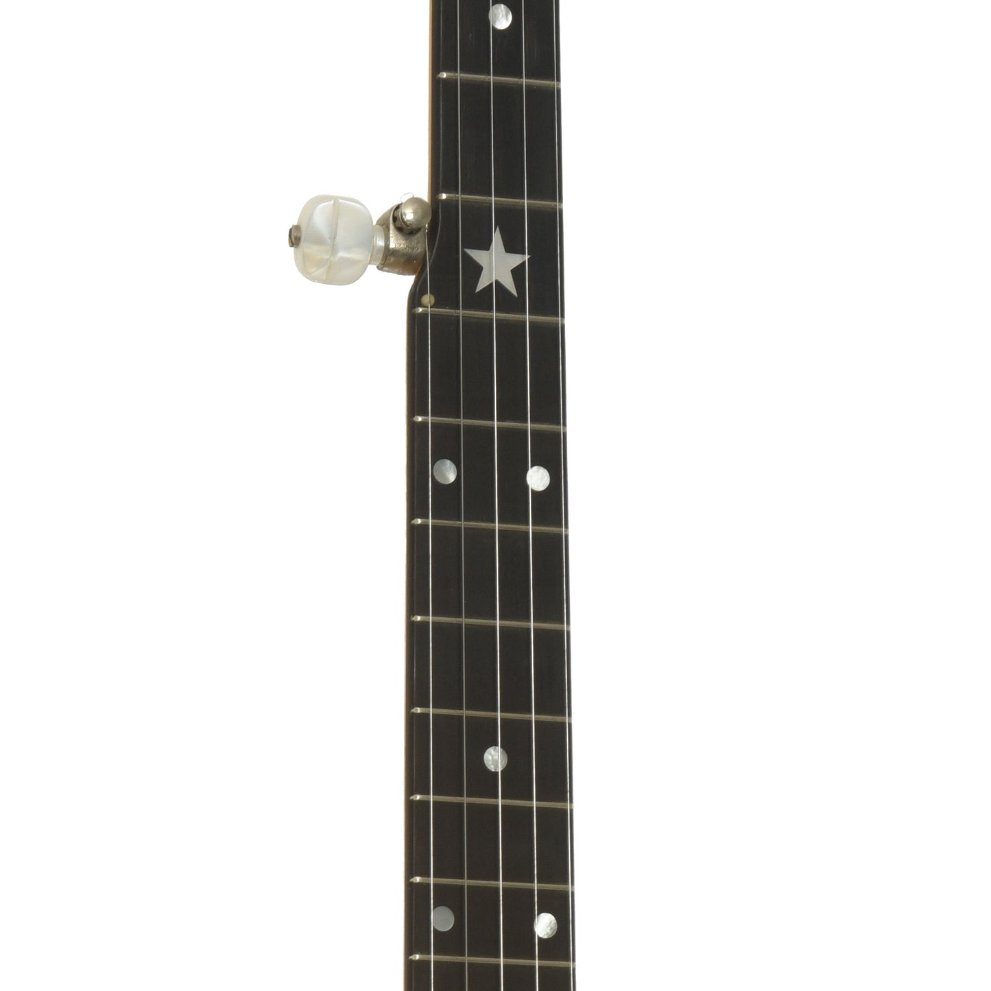 Fretboard of Bart Reiter Special Openback Banjo