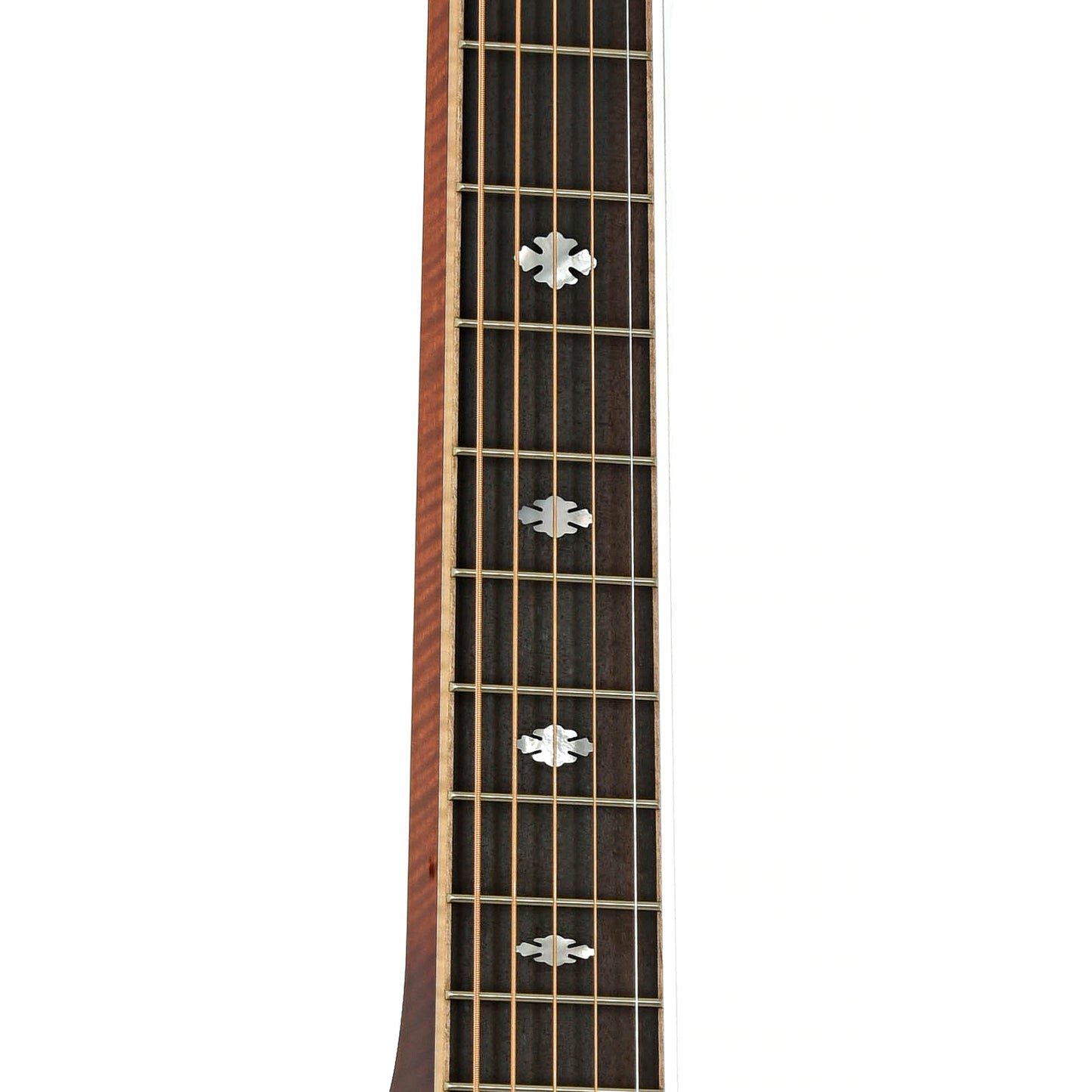 Fretboard of Beard Legacy E-Model Squareneck Resonator Guitar Amber Sunburst