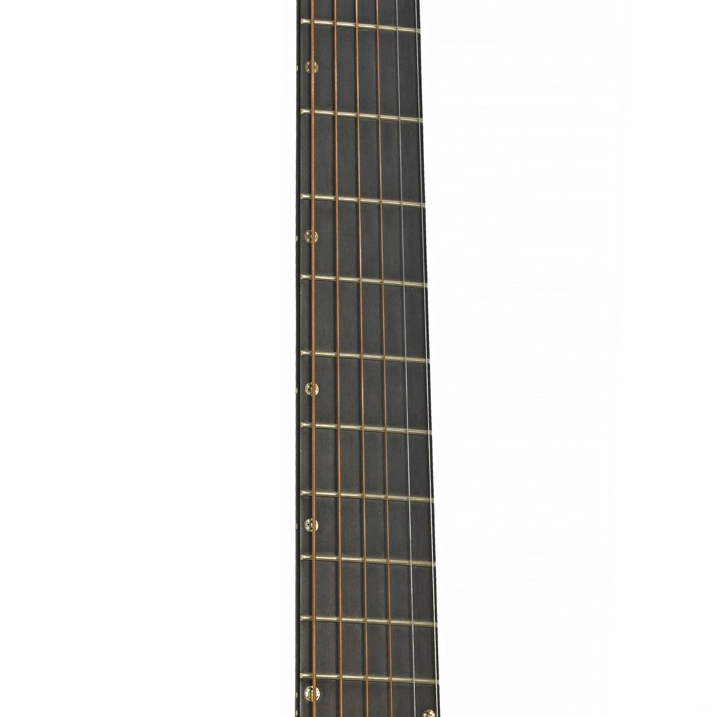 Fretboard of Breedlove Elderly 50th Anniversary Custom Concerto Acoustic Guitar