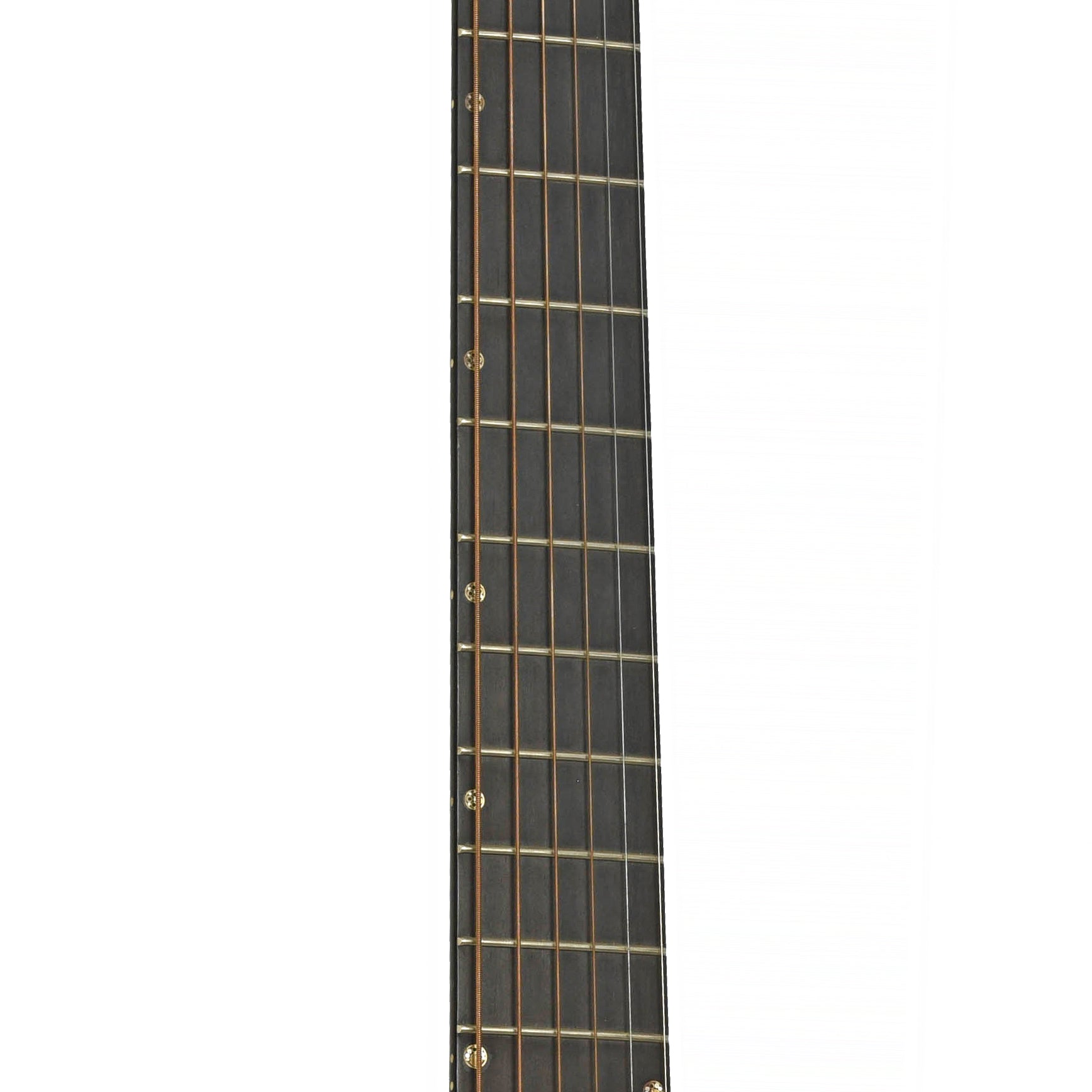 Fretboard of Breedlove Elderly 50th Anniversary Custom Concerto Acoustic Guitar