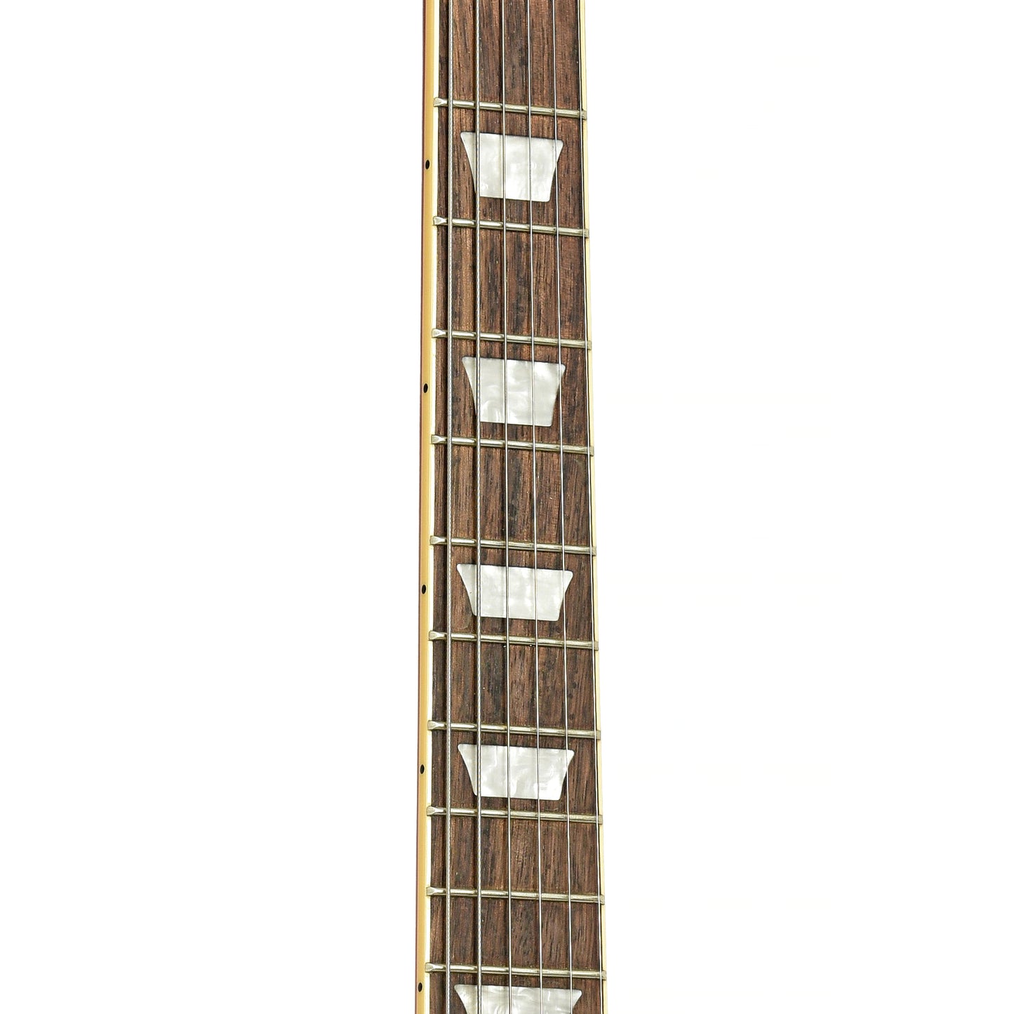 Fretboard of Epiphone SG Standard Electric Guitar