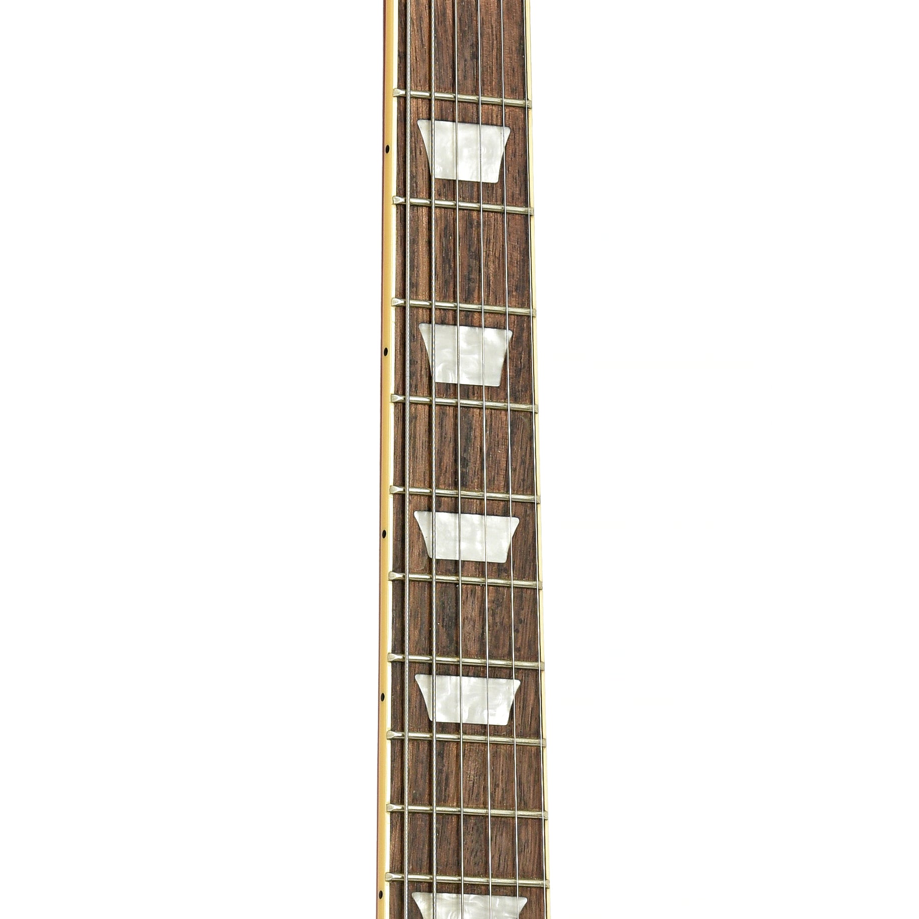 Fretboard of Epiphone SG Standard Electric Guitar