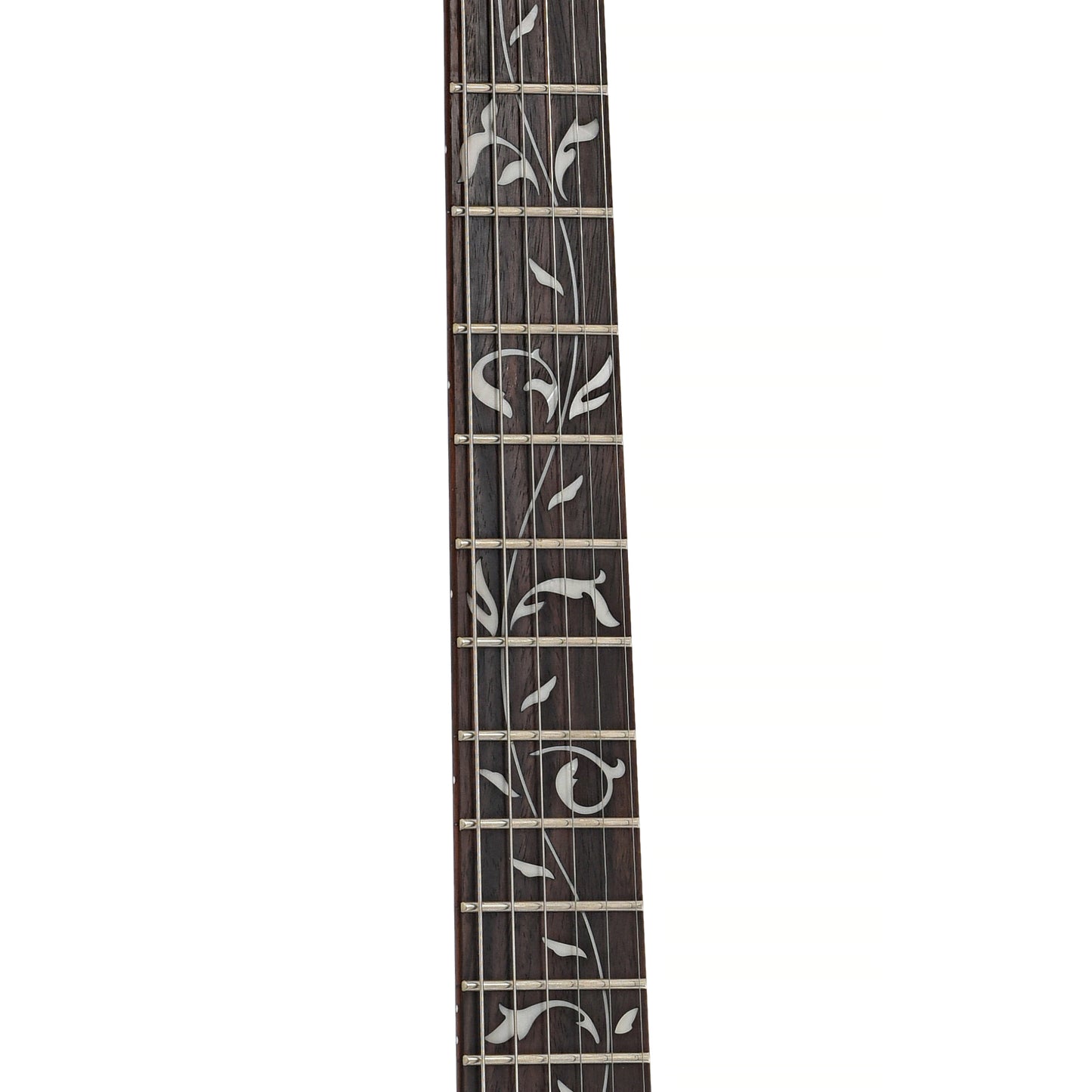 Fretboard of Ibanez Jem Jr. Electric Guitar (2016)