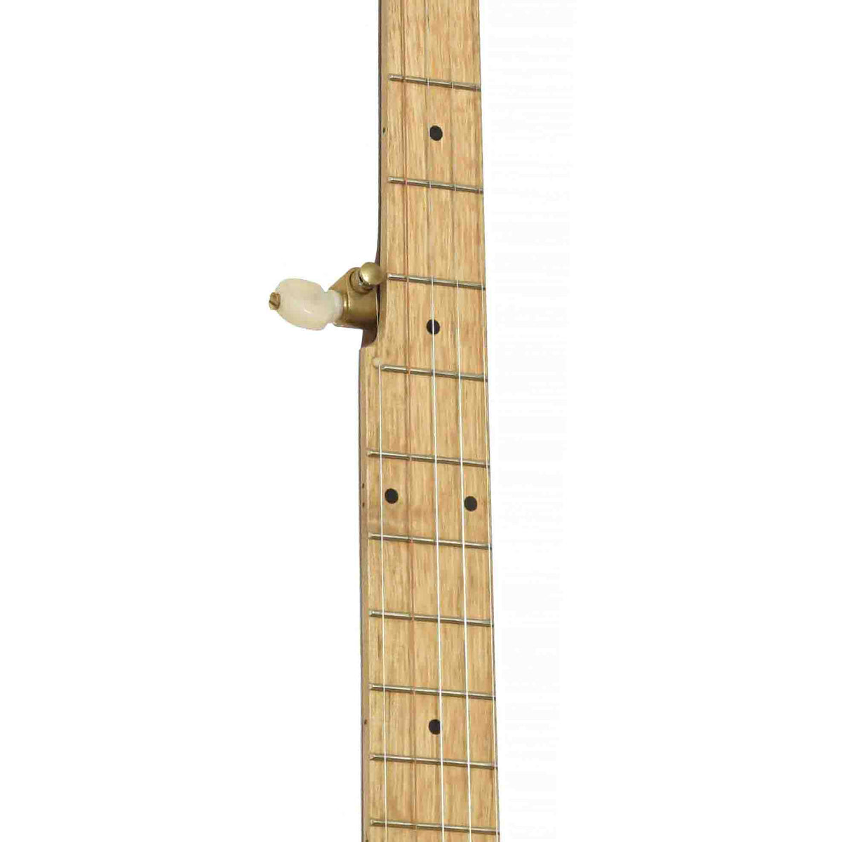 Pisgah Appalachian 12in Openback Banjo & Gigbag, Walnut