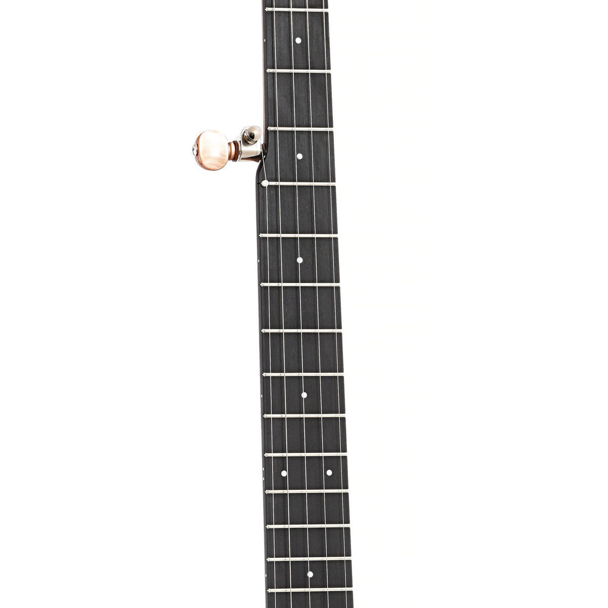 fretboard of Ode Moonlight 11" Openback Banjo
