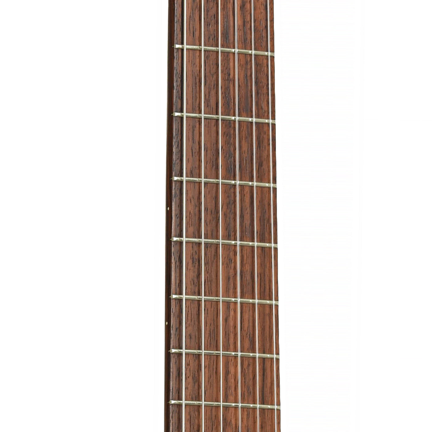 Fretboard of Martin-Humphrey C-1R Classical Acoustic Guitar 