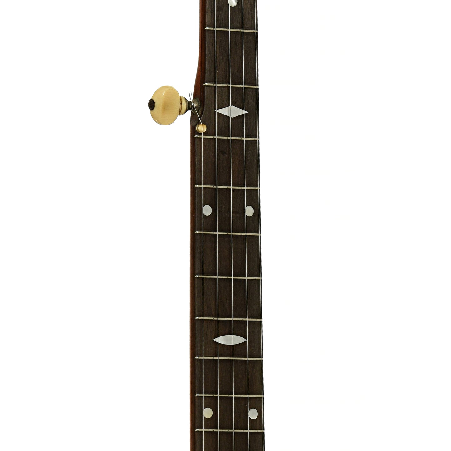 Fretboard of Vega Senator 5-String Banjo
